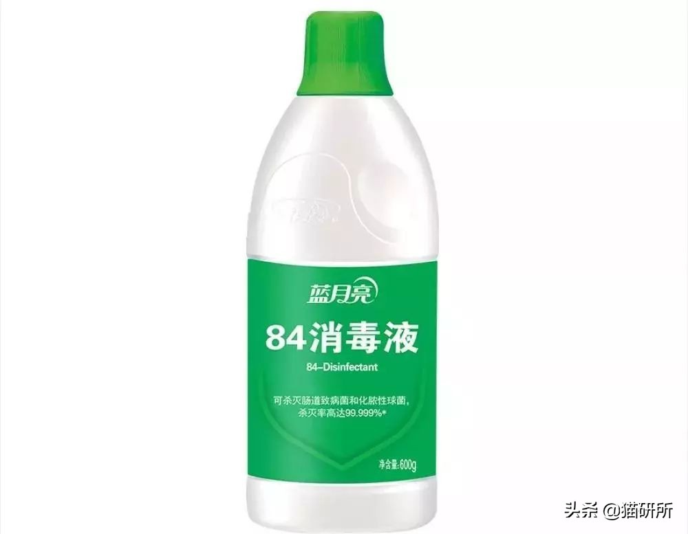 铲屎官得了猫癣怎么处理,铲屎官必知猫咪急救办法