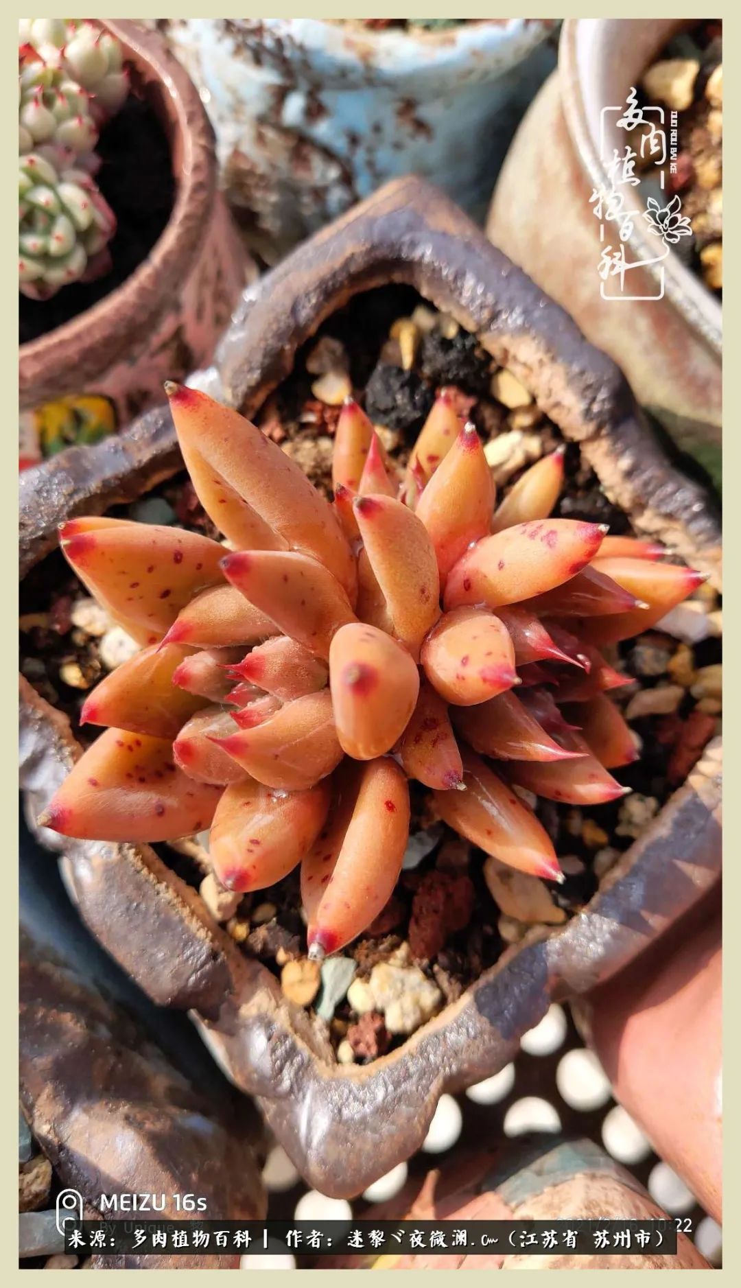 秋尽冬来岁月不居时节如流,岁月不居时节如流水