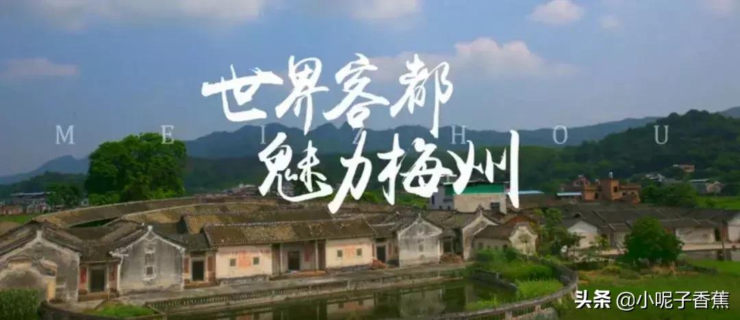 回到梅州你后悔了吗,你回梅州了吗