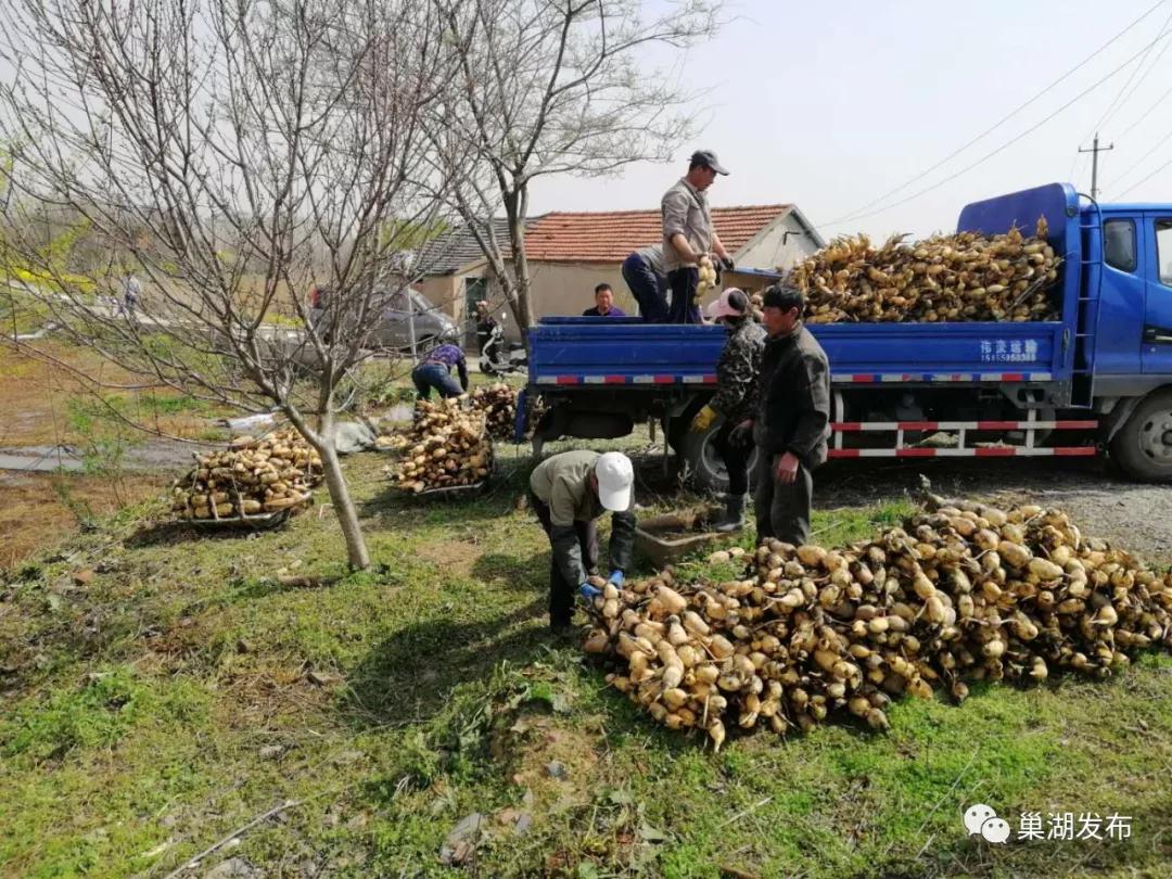 变废为宝公共区域,变废为宝再利用
