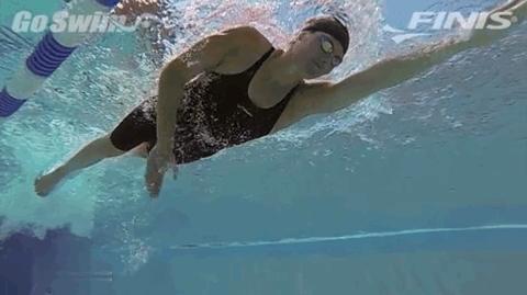 技巧自由泳的划水动作其实很简单,自由泳划水小技巧图解