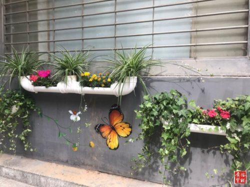 宝鸡电动自行车挂牌照,宝鸡电动自行车上牌最新规定