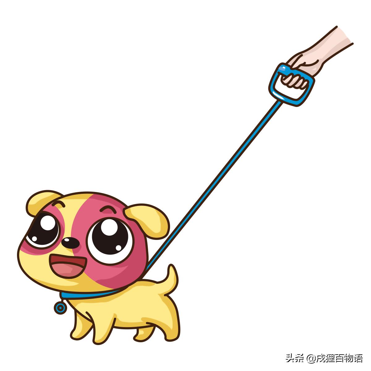 泰迪爬跨行为怎么解释,泰迪狗狗尴尬期的表现有哪些