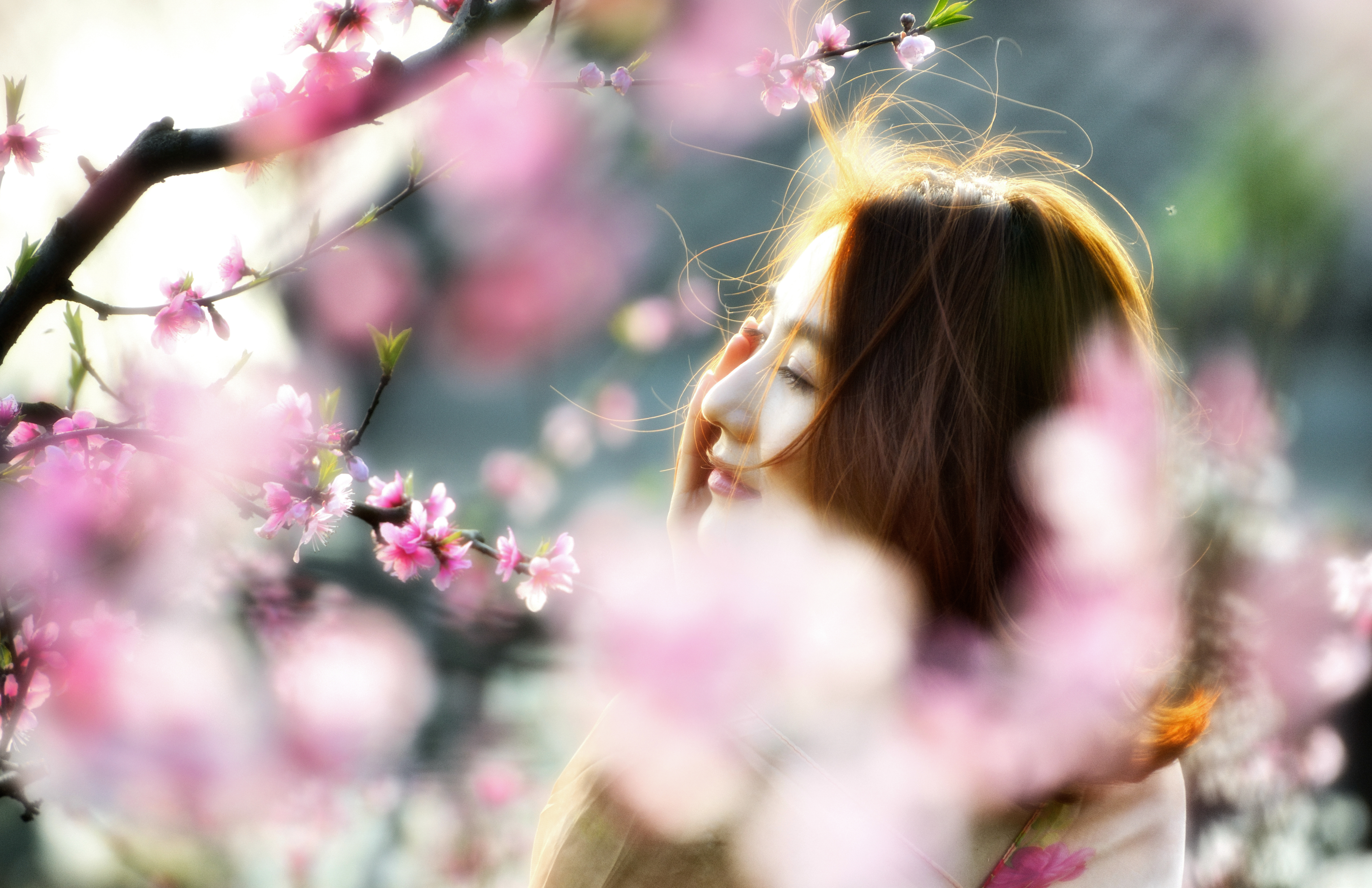 我与尼康北京行,尼康70-300mmf4.5-5.6g画质