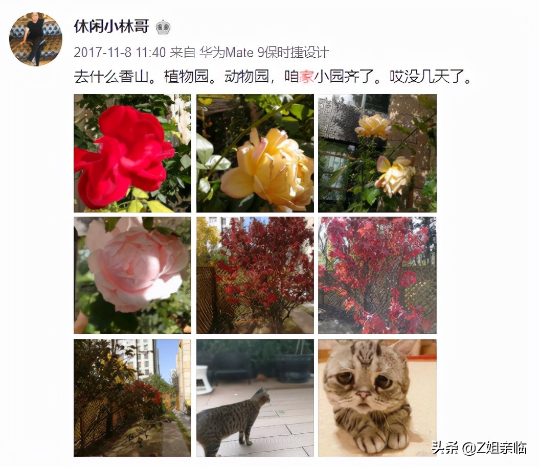 李云迪嫖娼被举报,明星再小心,还是躲不过神秘的朝阳群众