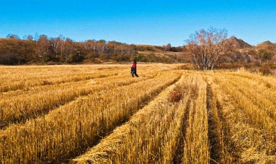 沽源县历史地名,沽源县历史演变
