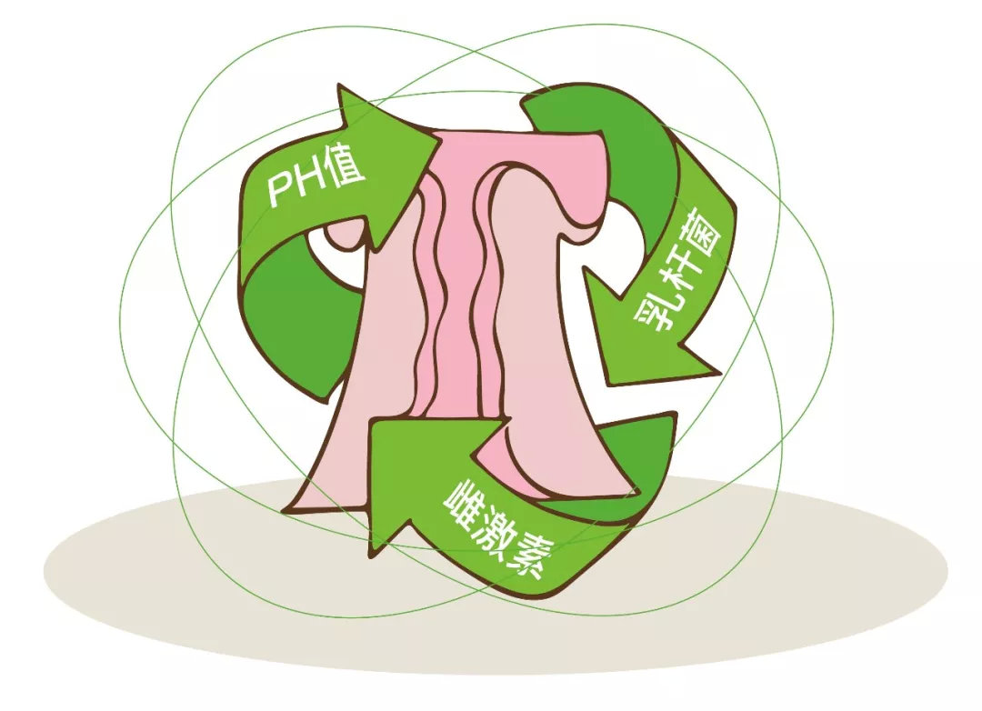 过度清洁得妇科病,过度清洁妇科病