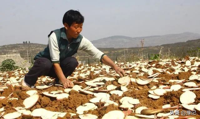 在老陕眼中的河南人就像一碗烩面,一个河南人眼中的河南