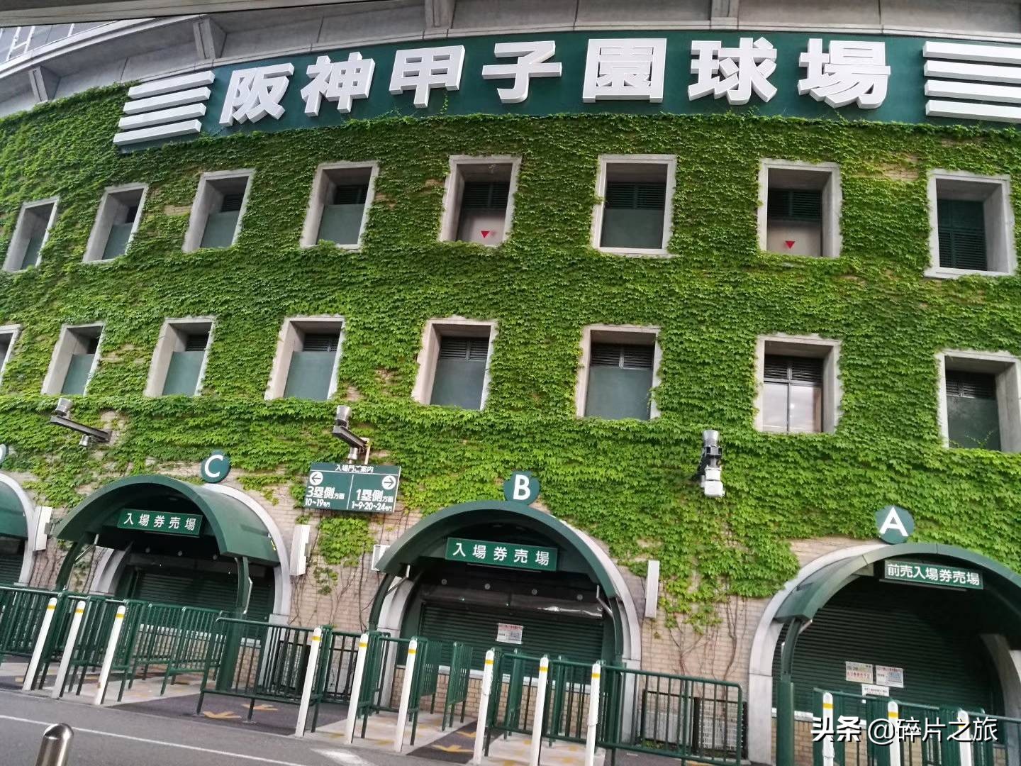 豪华游轮日本游旅游攻略,特价日本豪华游轮旅游攻略