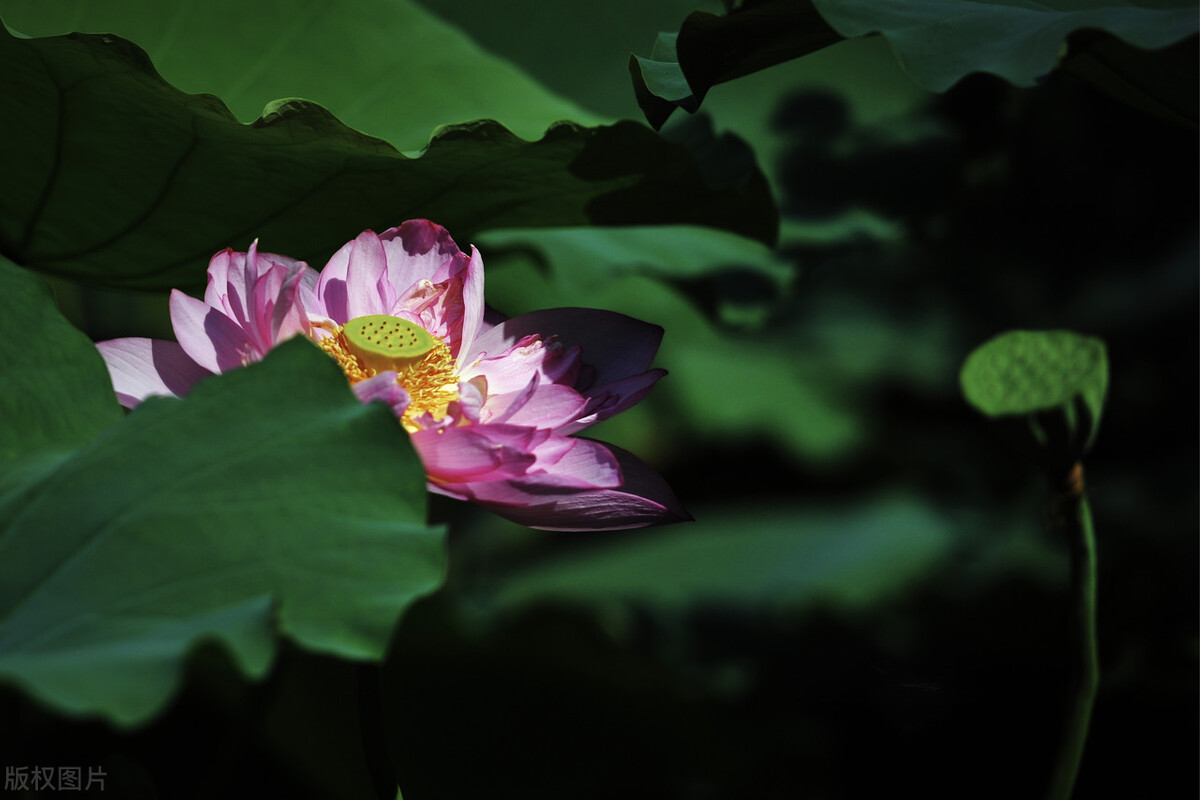 佛山三水区招聘,佛山三水区律师咨询电话