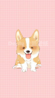 什锦壁纸｜我的高冷你不懂