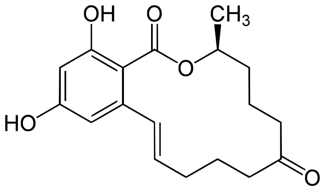 摸一下肚子就怀孕,都市传说怀孕