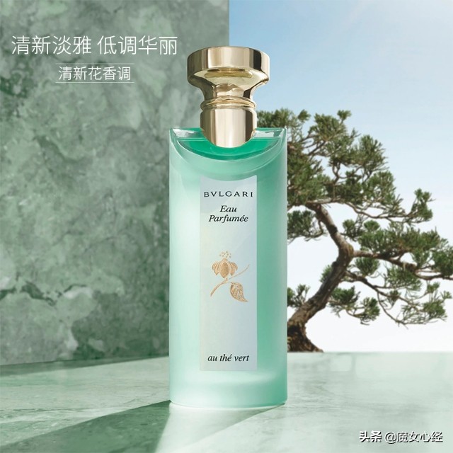 最适合夏天用的10款大牌香水,介绍推荐几款经典的绿茶香水