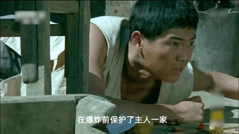 功勋军犬为拍戏被炸死片段,为了电影而被炸成碎片的军犬