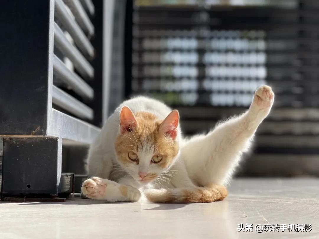 iphone12怎么设置全天候显示,摄影能力稳步提升iphone12系列