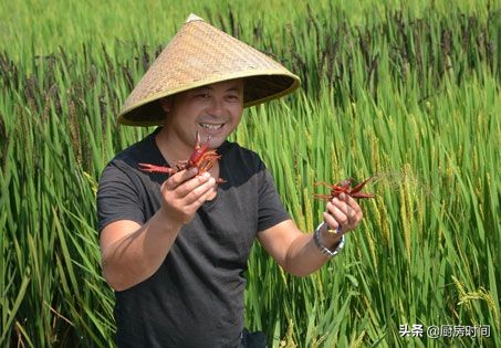 回农村过暑假的孩子太令人羡慕了，原来这些稀罕野味竟能随手可得