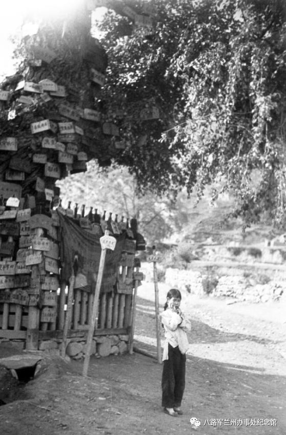 【馆长数家珍】卡特·霍尔顿拍摄的甘肃老照片