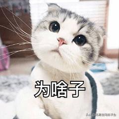 鲜花批发都有什么渠道,一般鲜花批发的都在哪个平台