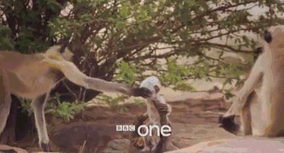 豆瓣9.8分悬疑大片,窥探电视剧豆瓣评分