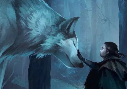 权力的游戏红袍女巫跟雪诺,冰原狼雪诺与白灵完整版