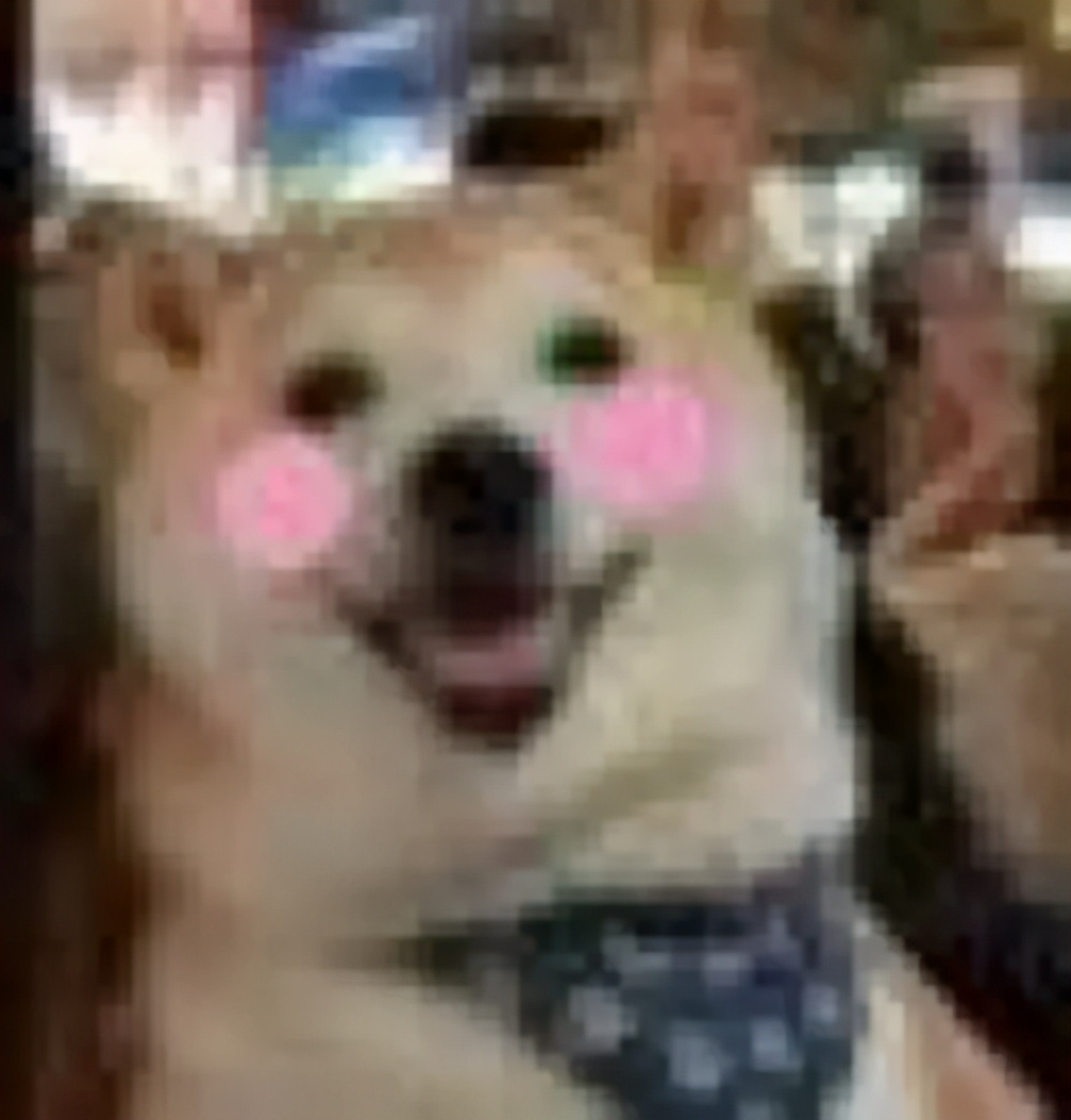 刘·哆啦A梦·昊然,到底还有多少隐藏实力?