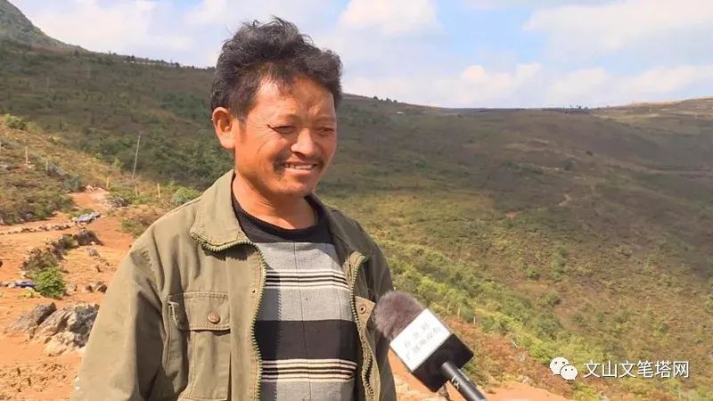 「笔塔热点」丘北1村民租地养兔探出致富路，年入30多万