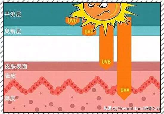 防晒系数低的防晒推荐,防晒测评专业