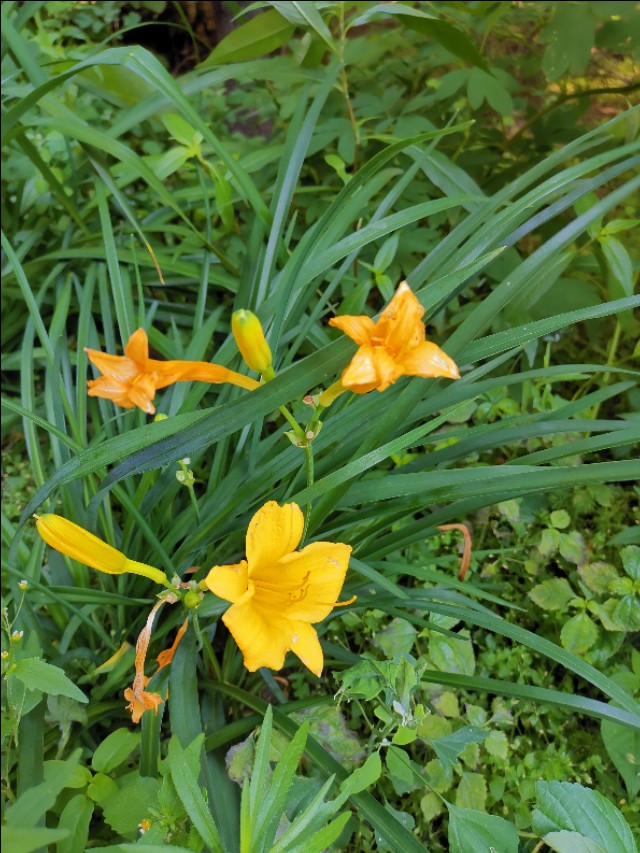 辉南县360行便民电话表(值得收藏)