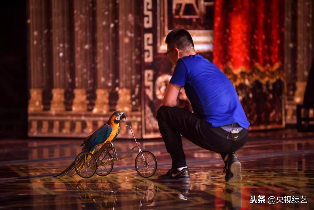 赵忠祥年轻岁月,赵忠祥汪涵朗诵