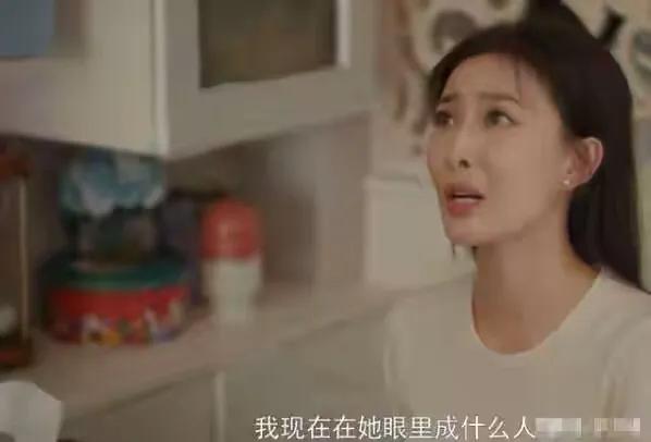 安家前20集感悟,电视剧安家感悟