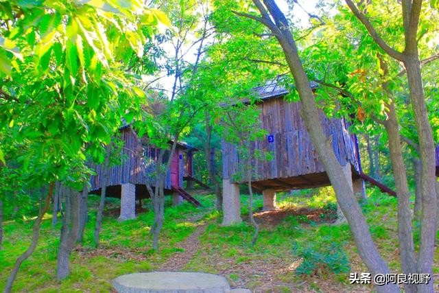 庄河黑岛名人,庄河黑岛沈屯