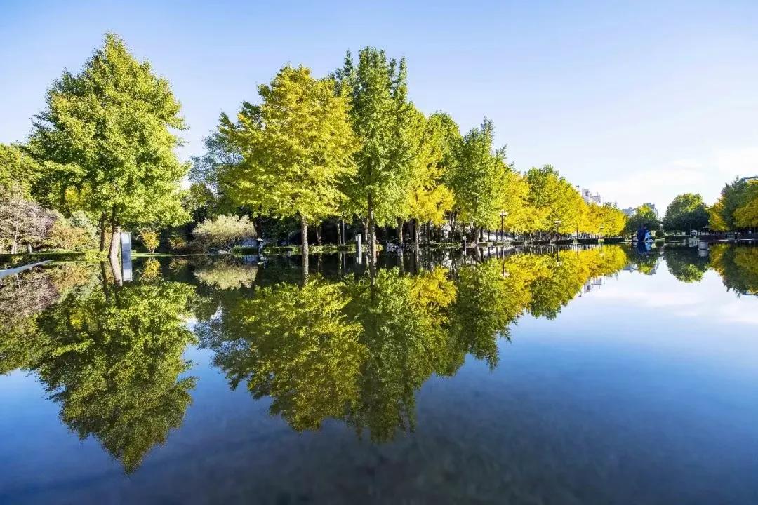 品茶时光杯,品茶时光全部视频