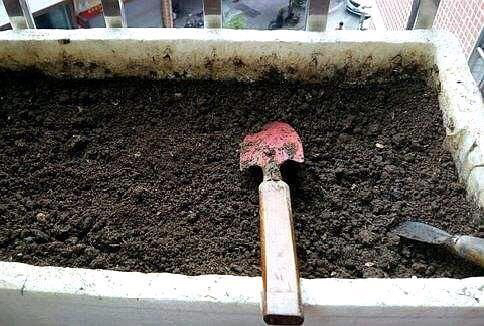 养花旧土怎样变营养土,想养花没有阳台怎么办