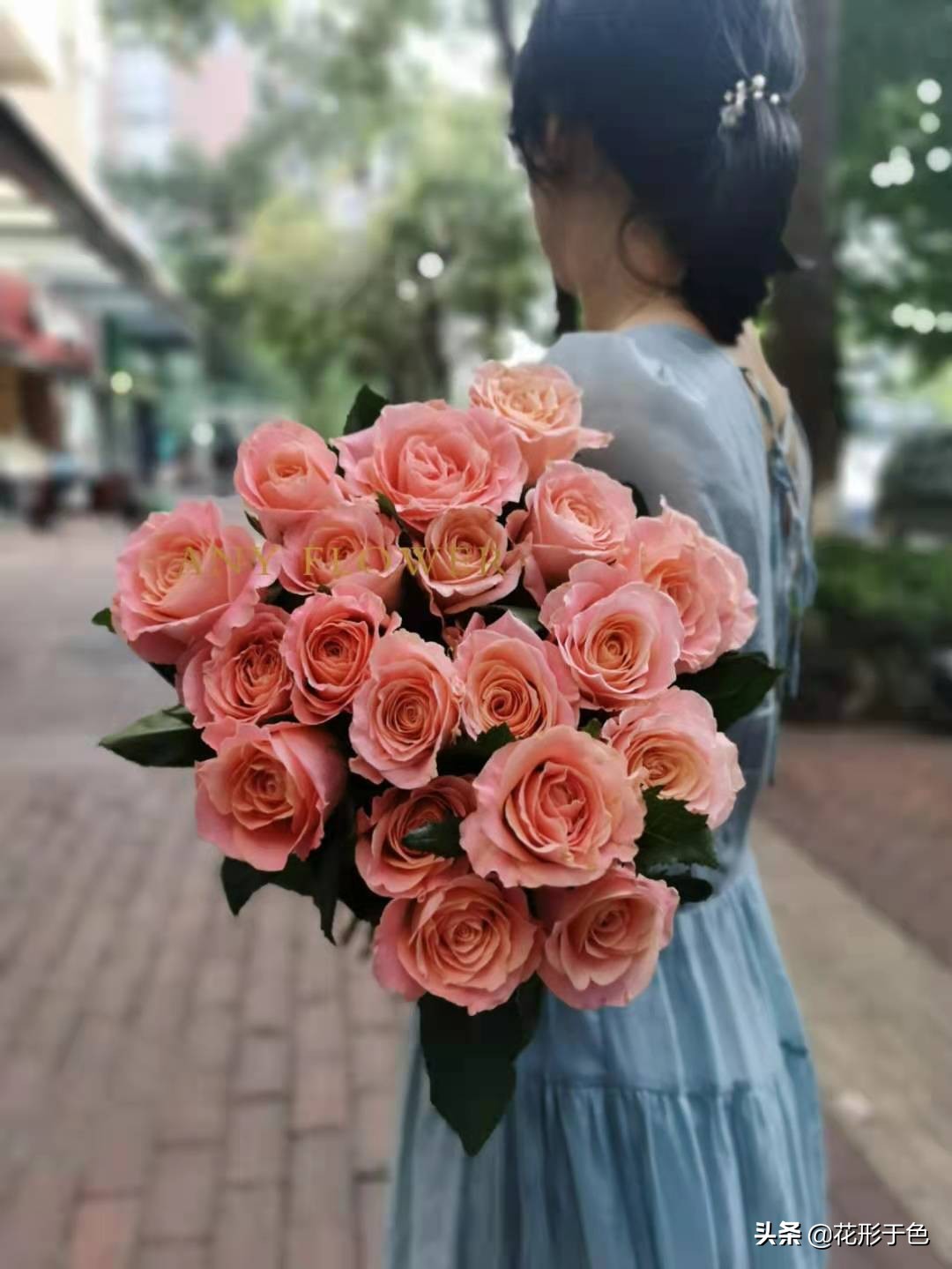 玫瑰花品鉴介绍,带你认识玫瑰品种