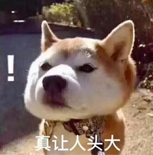 小狗用英语怎么说儿歌,小狗用韩文怎么说