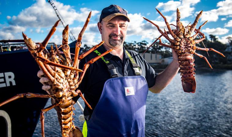 龙虾换口罩？澳洲花7亿包机卖龙虾到中国，返程时装满医疗物资