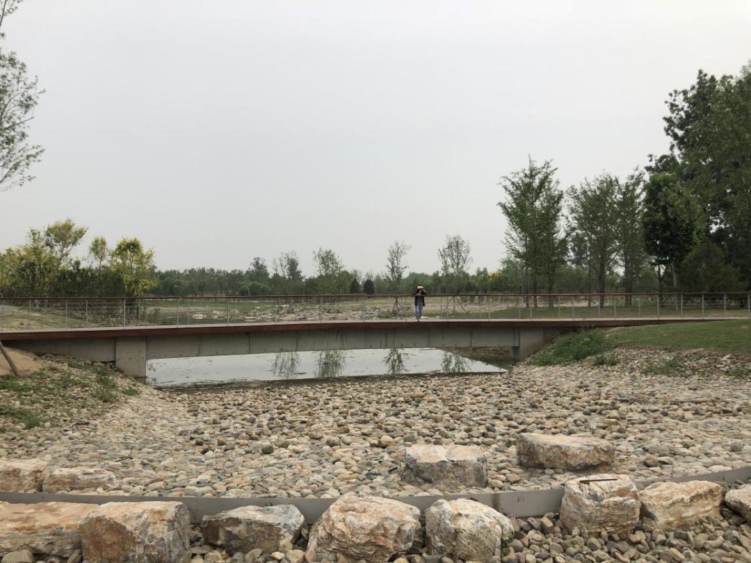 疫情过后园林企业生存现状如何？来看看这位项目经理的一天