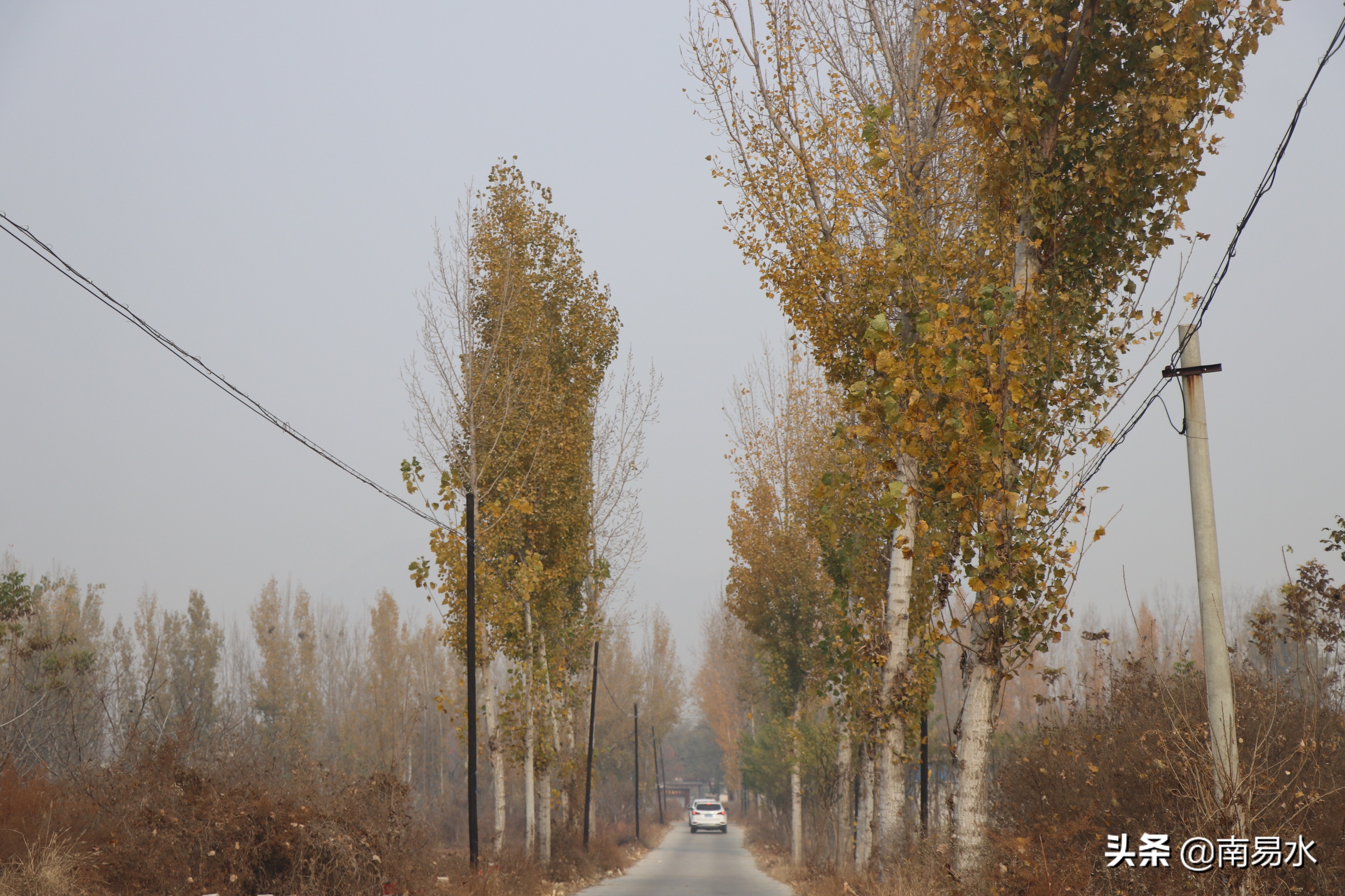家乡风景带你一起感受自然的味道,令你难以忘怀的家乡的味道