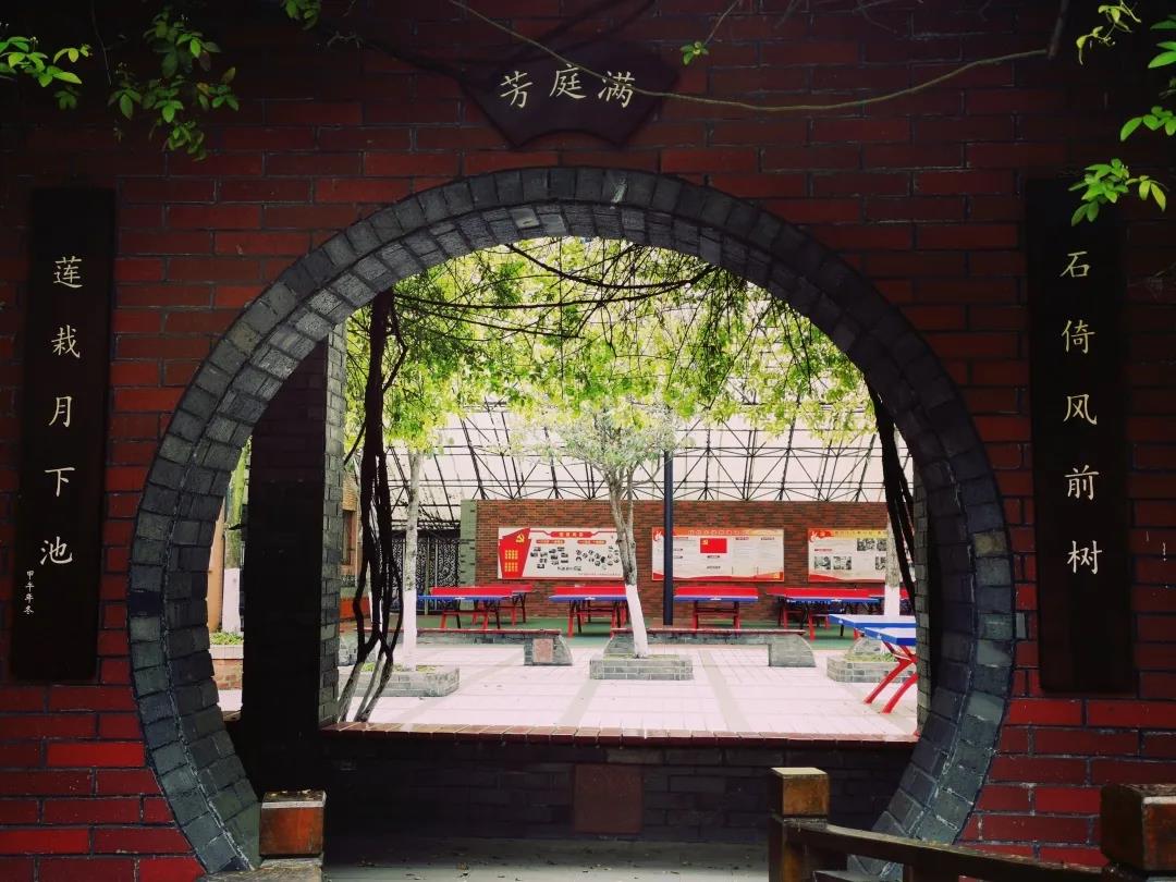 2019成都公立小学五朵金花排名,成都五朵金花小学分布图