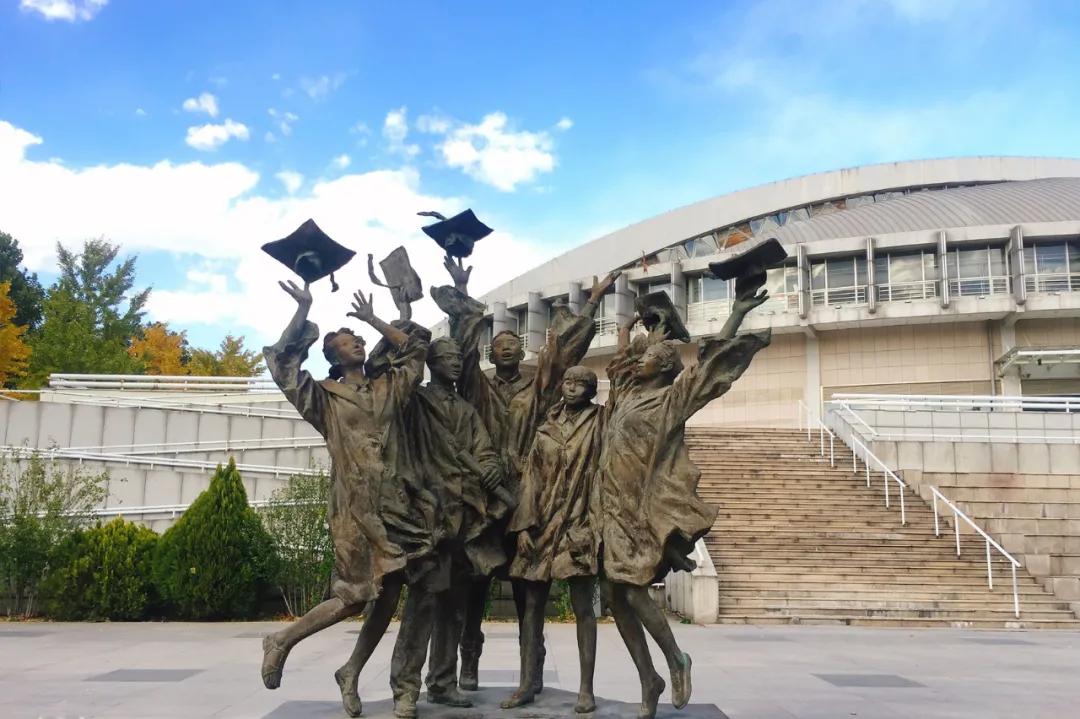 看了冬奥会感受,看了奥运会