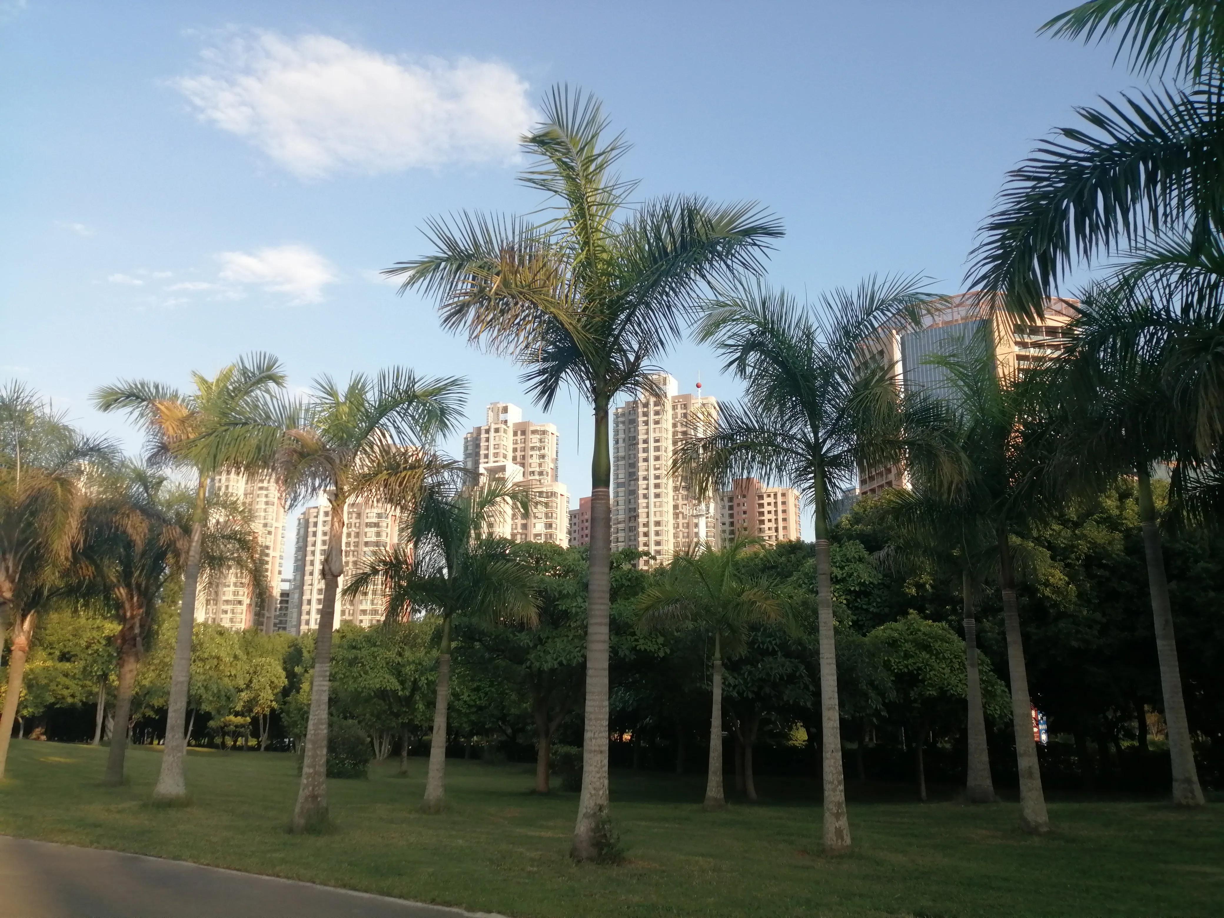 重庆阿姨弥勒看房记，浅谈养老是买房还是租？