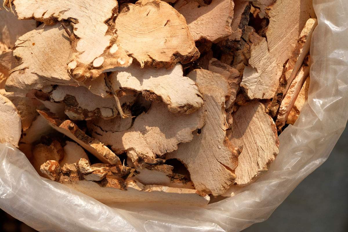 甘肃的地理与气候,甘肃自然环境