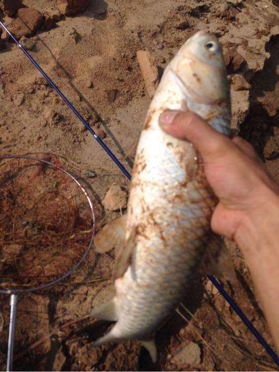 海竿钓鱼用什么鱼钩最好,海竿钓鱼用什么钩最好新手