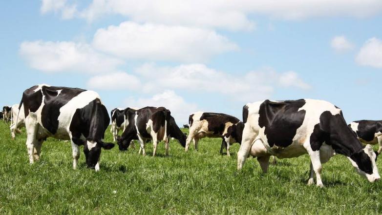 100克奶粉0.1dha含量会不会太低,国产奶粉dha含量排行榜前20名