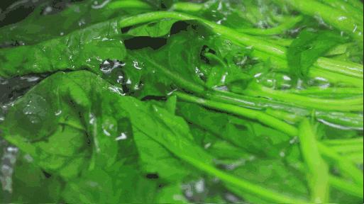 体检红细胞异常算严重吗,红细胞偏低66.80很严重吗