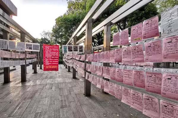 武汉三大相亲角哪个靠谱点,武汉相亲角三大公园