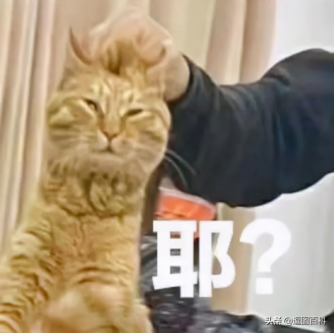 钱不是大风刮来的却是大风刮没的,谁说钱不是大风刮来的