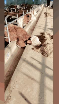 ​在远处和近处之间，有着属于每个人的角落