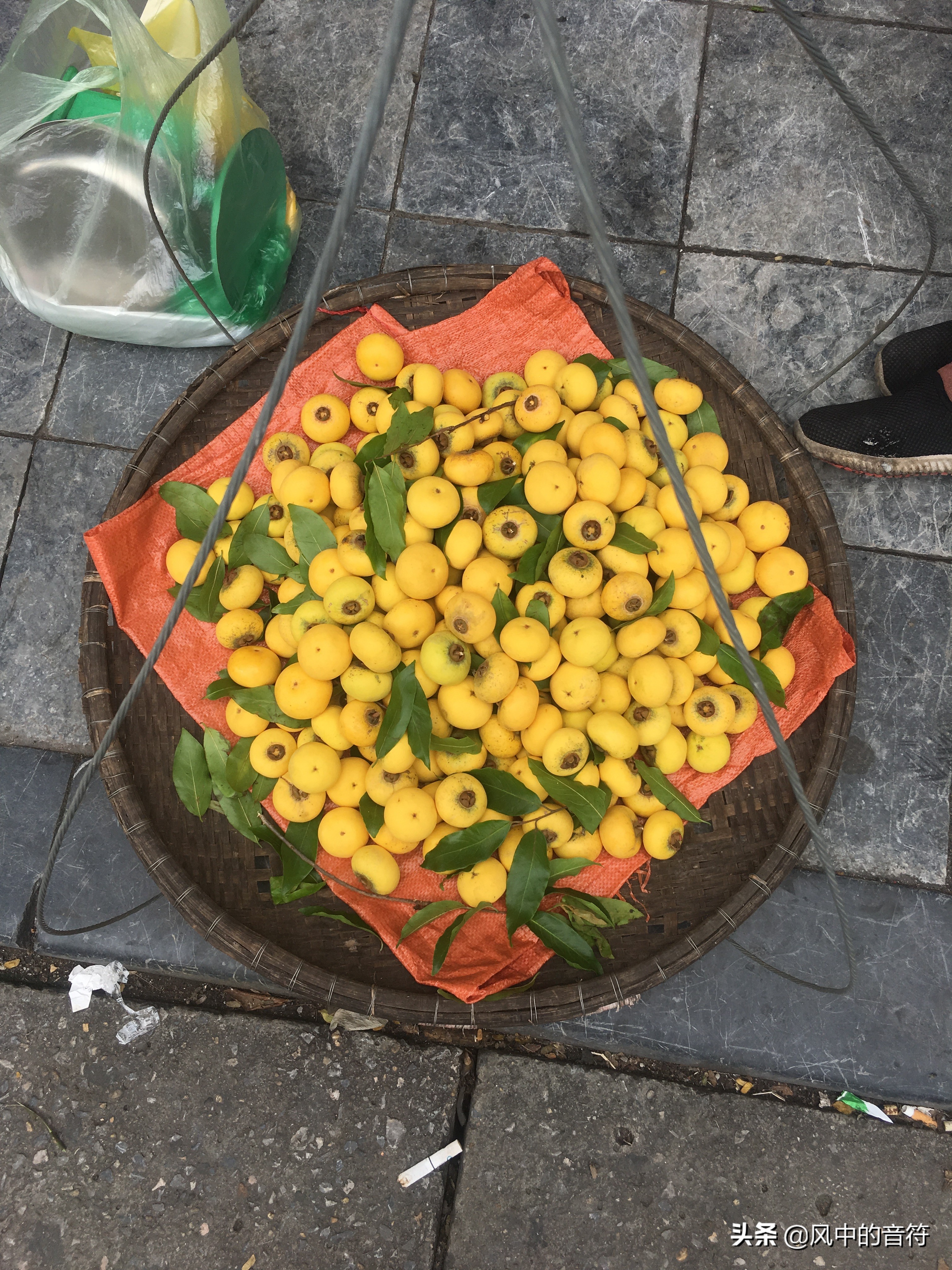 越南越北之旅,越南走进中国