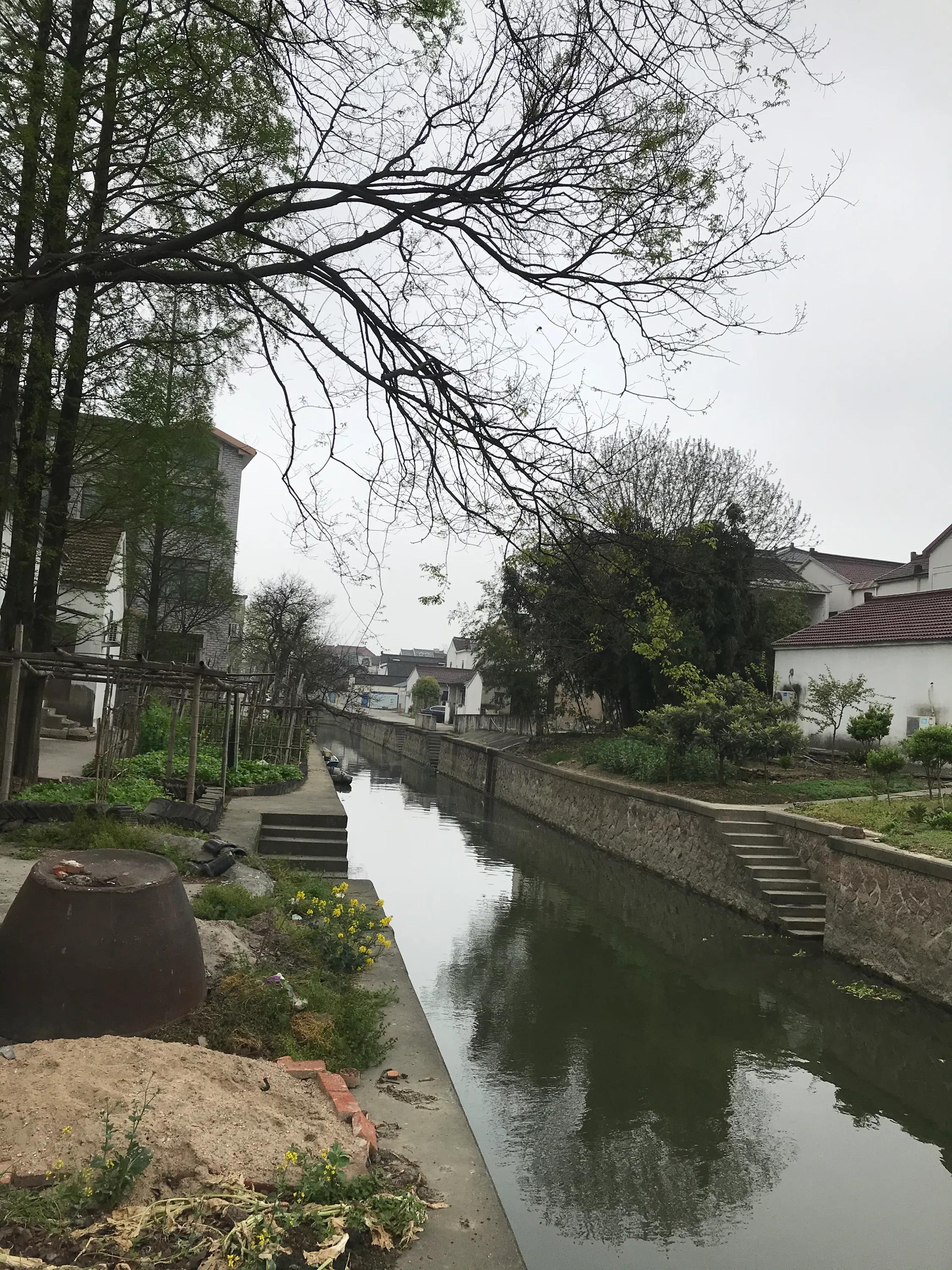 苏州吴江震泽八都,吴江区震泽八都贯桥社区